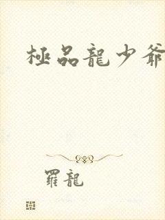 极品龙少爷