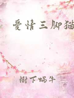 爱情三脚猫