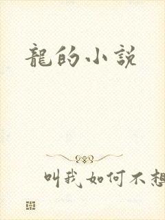 龙的小说