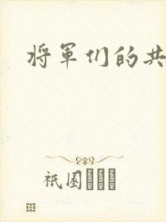 将军们的共妻H