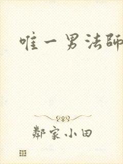 唯一男法师