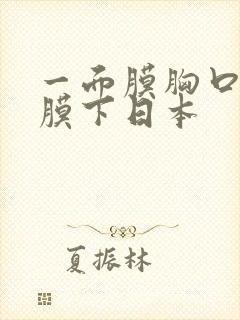 一面膜胸口一面膜下日本