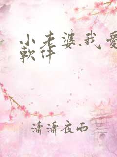 小老婆.我爱你软件