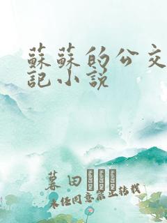 苏苏的公交车日记小说