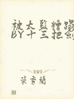 被太监糟蹋之后BY十三把剑