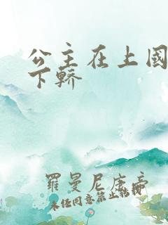 公主在上国师请下轿