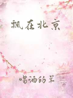 飘在北京