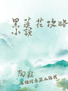 黑莲花攻略手册小说