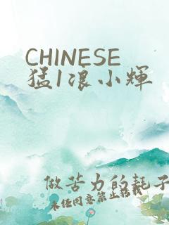 CHINESE猛1浪小辉
