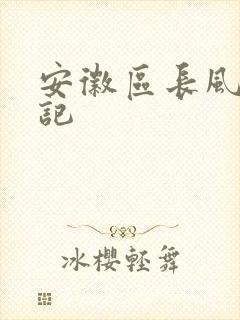 安徽区长风流日记