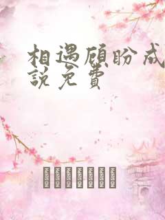 相遇顾盼成欢小说免费