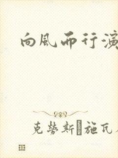 向风而行演员表