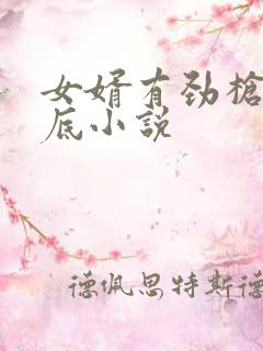 女婿有劲枪枪到底小说