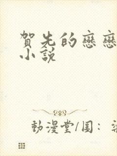 贺先的恋恋不忘小说