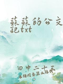 苏苏的公交车日记txt