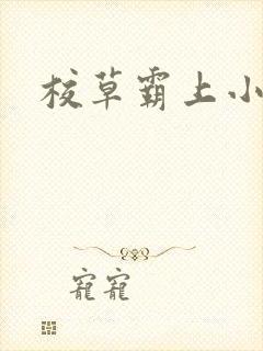 校草霸上小丫头