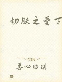 切肤之爱下载