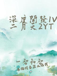 深度开发1V3二月天2YT