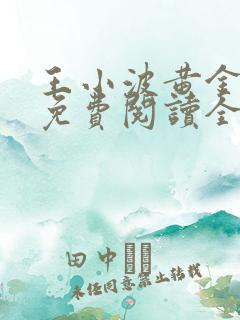 王小波黄金时代免费阅读全文