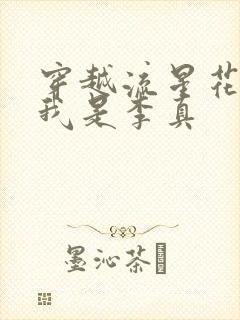 穿越流星花园之我是李真