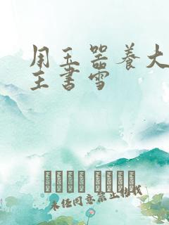 用玉器养大的公主书雪