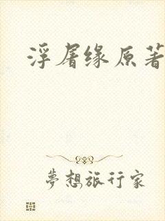 浮屠缘原著小说