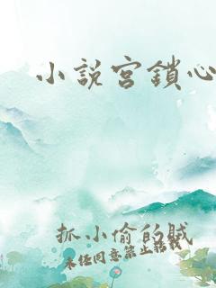小说宫锁心玉