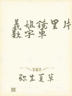 义姐镜里片微博数字车