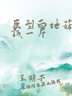 巨型白地菇多少钱一斤