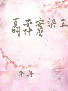 夏子安梁王书名叫什么