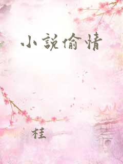 小说偷情