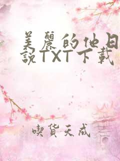 美丽的他日剧小说TXT下载
