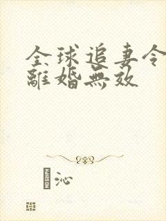 全球追妻令老婆离婚无效