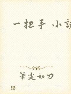 一把手 小说