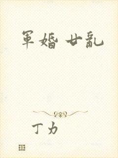 军婚 廿乱
