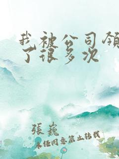 我被公司领导C了很多次