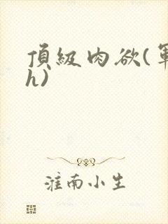 顶级肉欲(军高h)