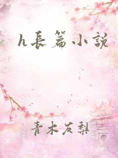 h长篇小说