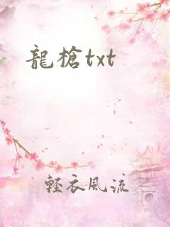 龙枪txt