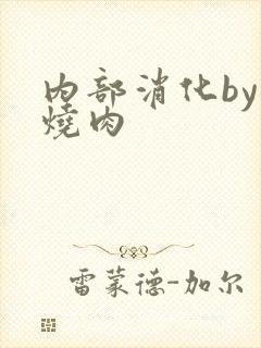 内部消化by红烧肉