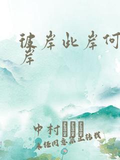 彼岸此岸何处是岸