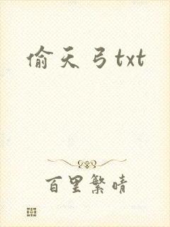 偷天弓txt
