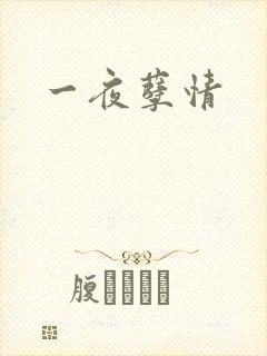 一夜孽情