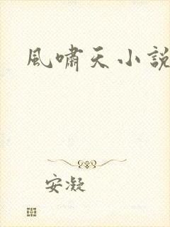 风啸天小说