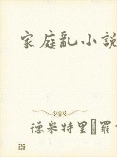 家庭乱小说