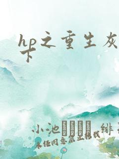 hp之重生灰猊下