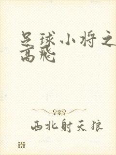 足球小将之展翅高飞