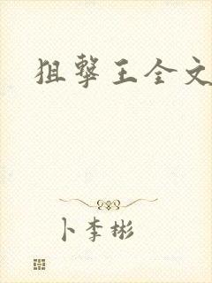 狙击王全文阅读