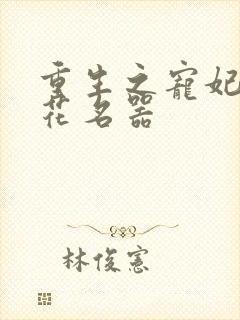 重生之宠妃白莲花名器