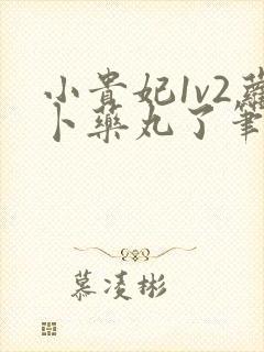 小贵妃1v2萝卜药丸了笔趣阁